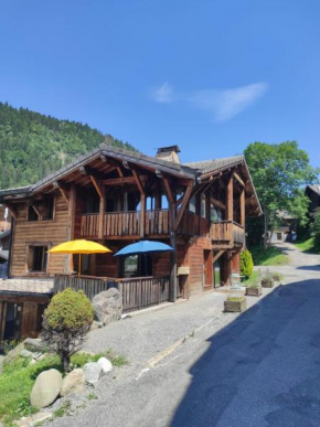 Chalet Robin - spa- multipass- terrain de pétanque